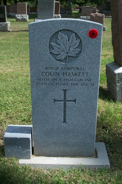 Photo of COLIN HASKETT