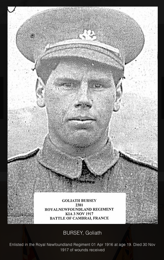 Photo de GOLIATH BURSEY