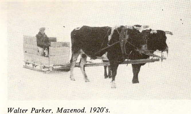 Photo of Walter Douglas Parker