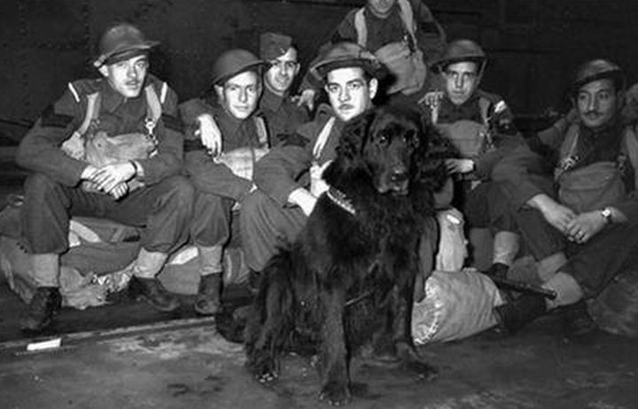 Photo of Ernest Levesque