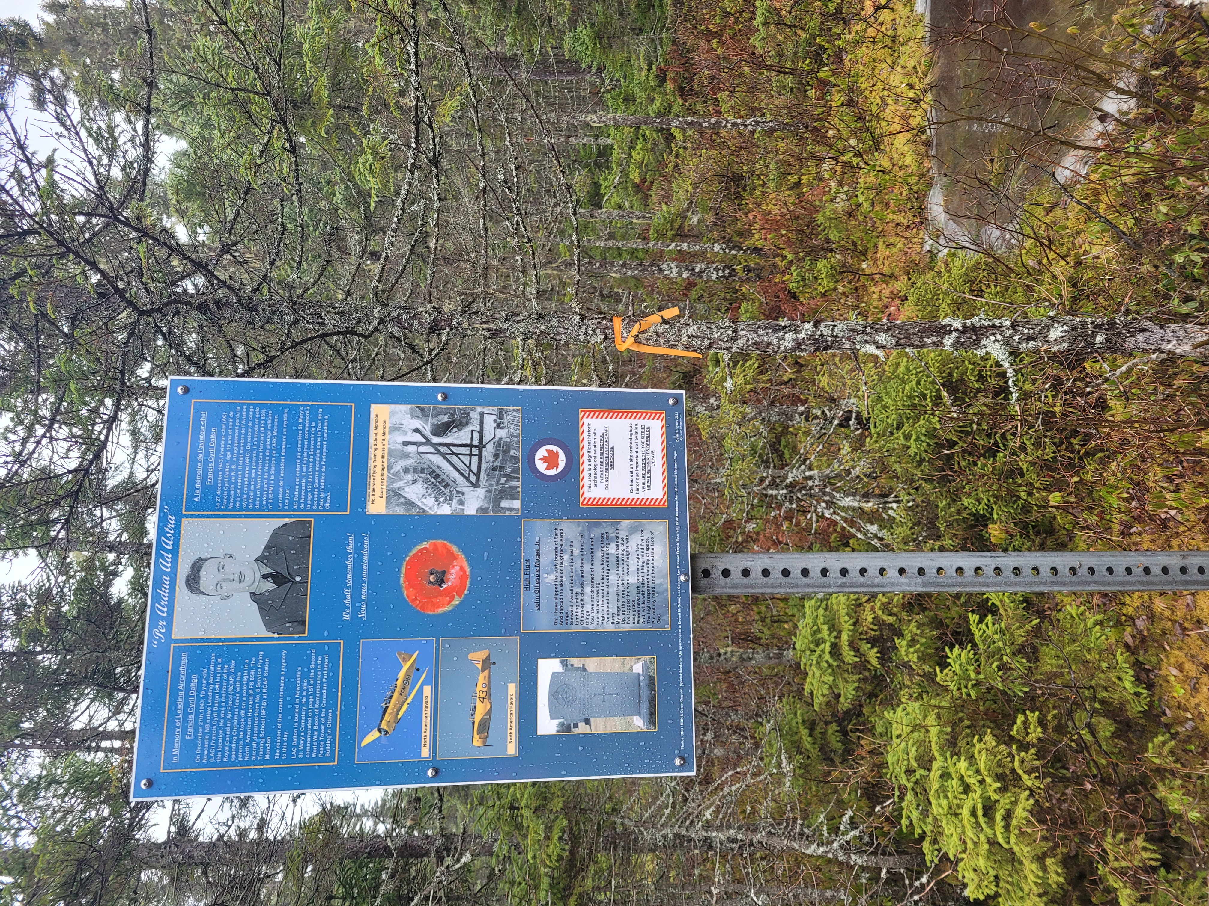 Photo of Francis Cyril Dalton