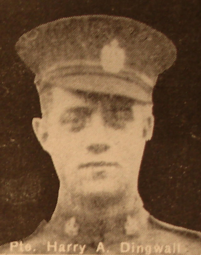 Photo of Harry Dingwell