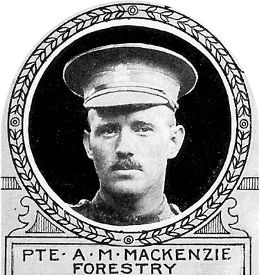 Photo of Alister MacKenzie