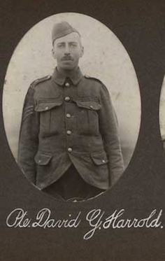 Photo of DAVID GIBSON HARROLD
