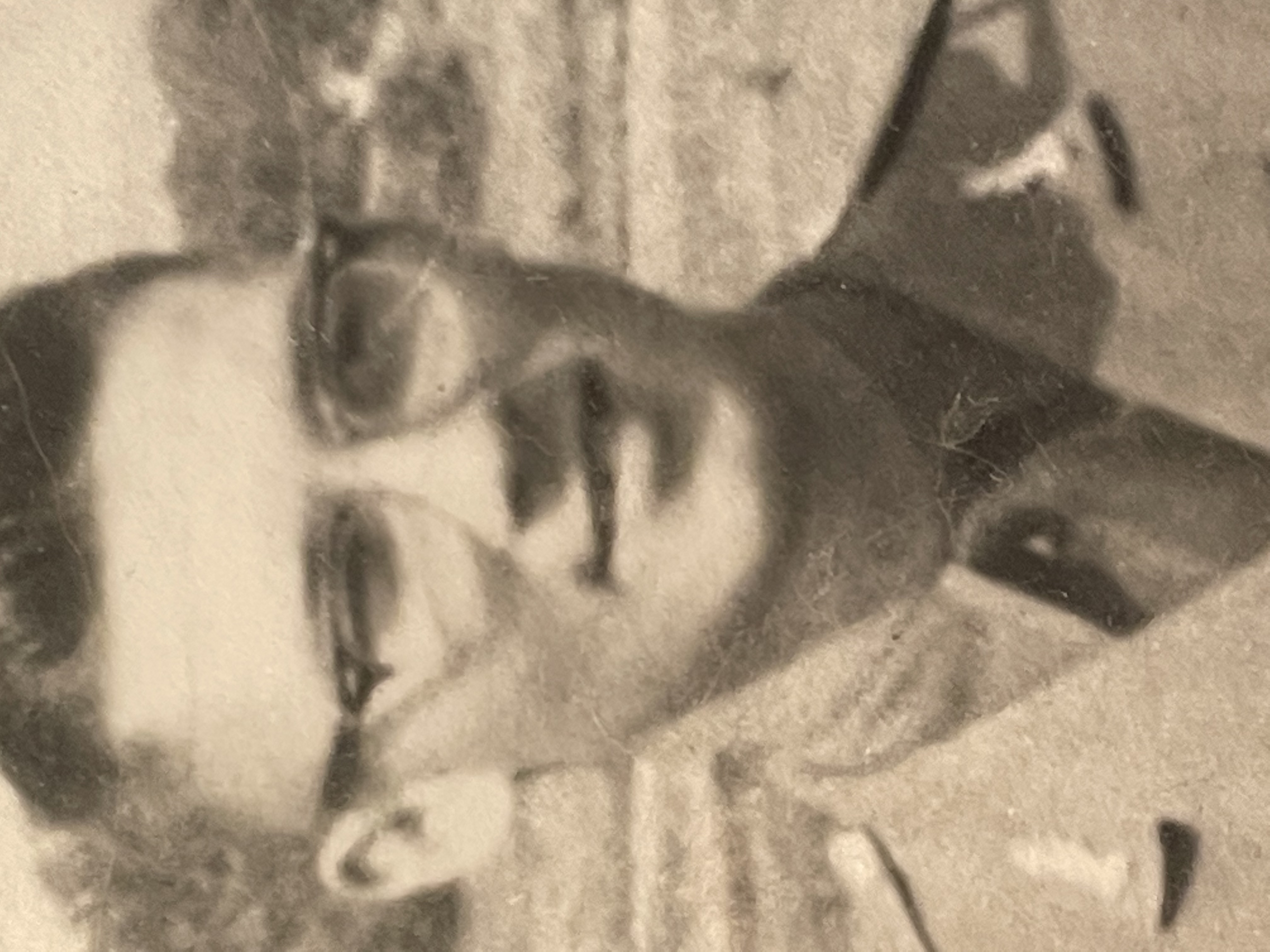 Photo of Dale Stevens Roster