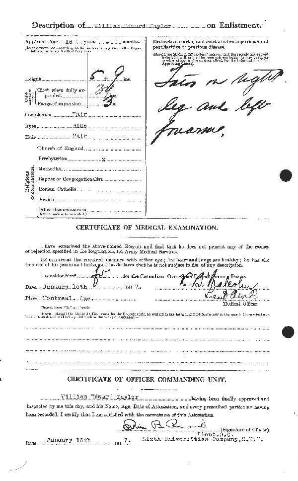 Attestation Papers (Reverse)