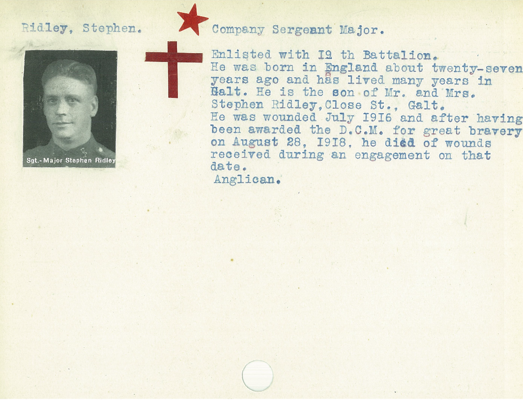 Photo of STEPHEN RIDLEY