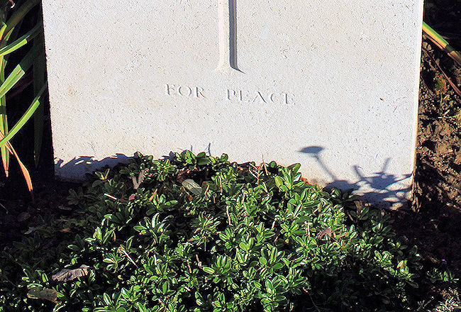 Photo of WILLIAM THOMAS WARWICK