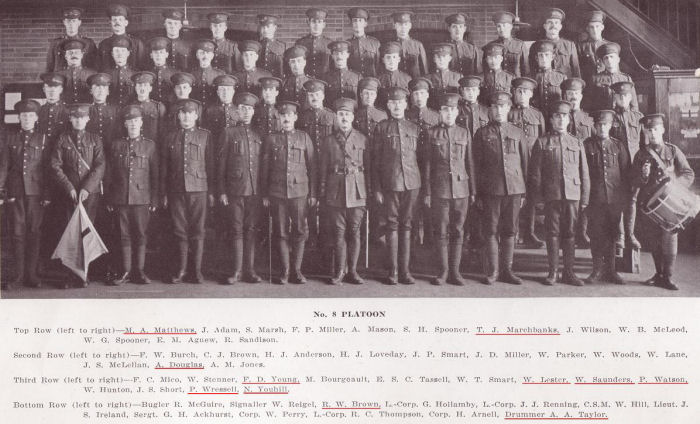 101st Battalion, B Company, 8th Platoon