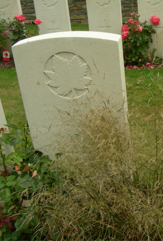 Photo of WILLIAM APPLETON