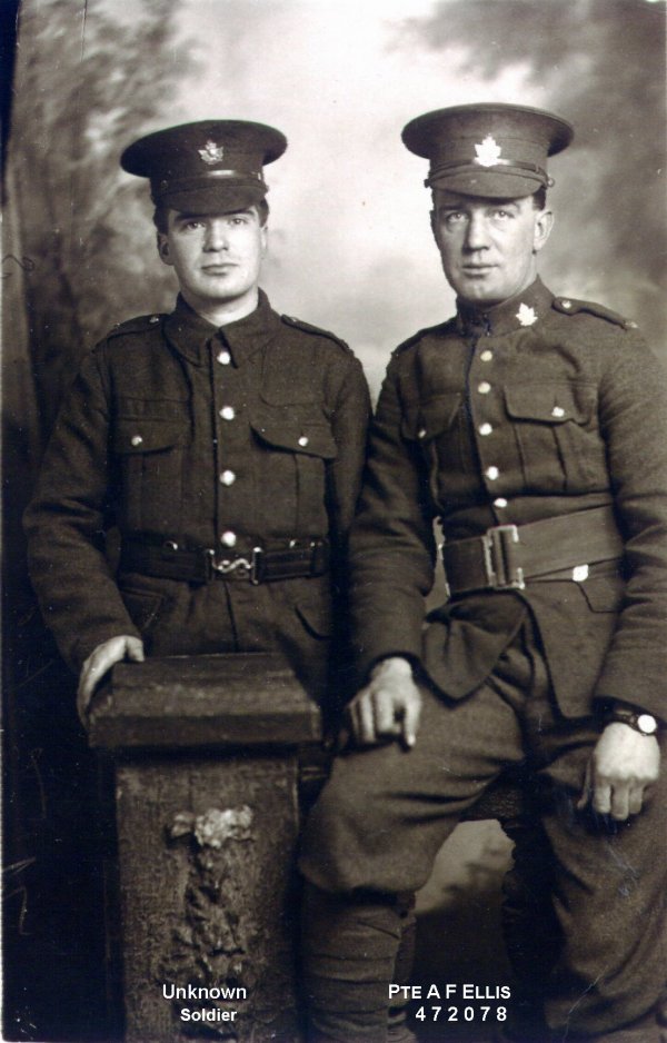 Photo of Albert Francis Ellis