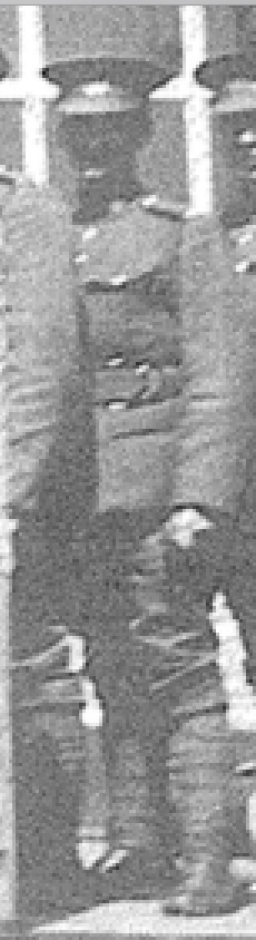 Photo of MARK COCKLE