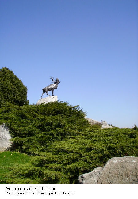 Beaumont-Hamel Memorial