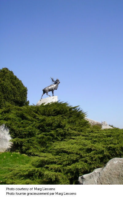 Beaumont-Hamel Memorial