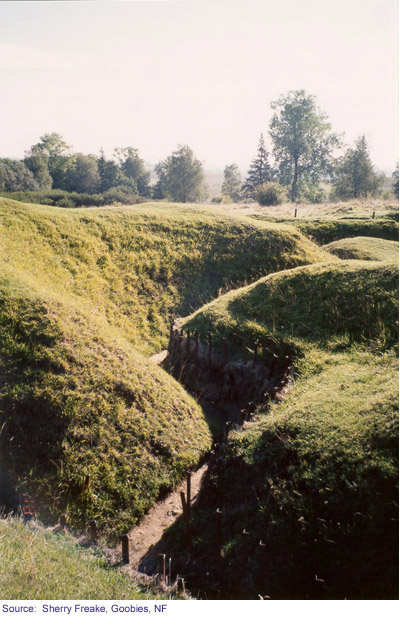 The Trenches of Beaumont-Hamel