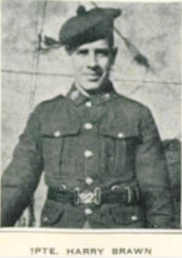 Photo of HARRY BRAWN