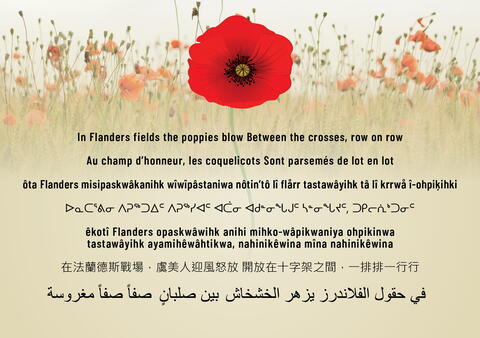 In Flanders Fields poem​